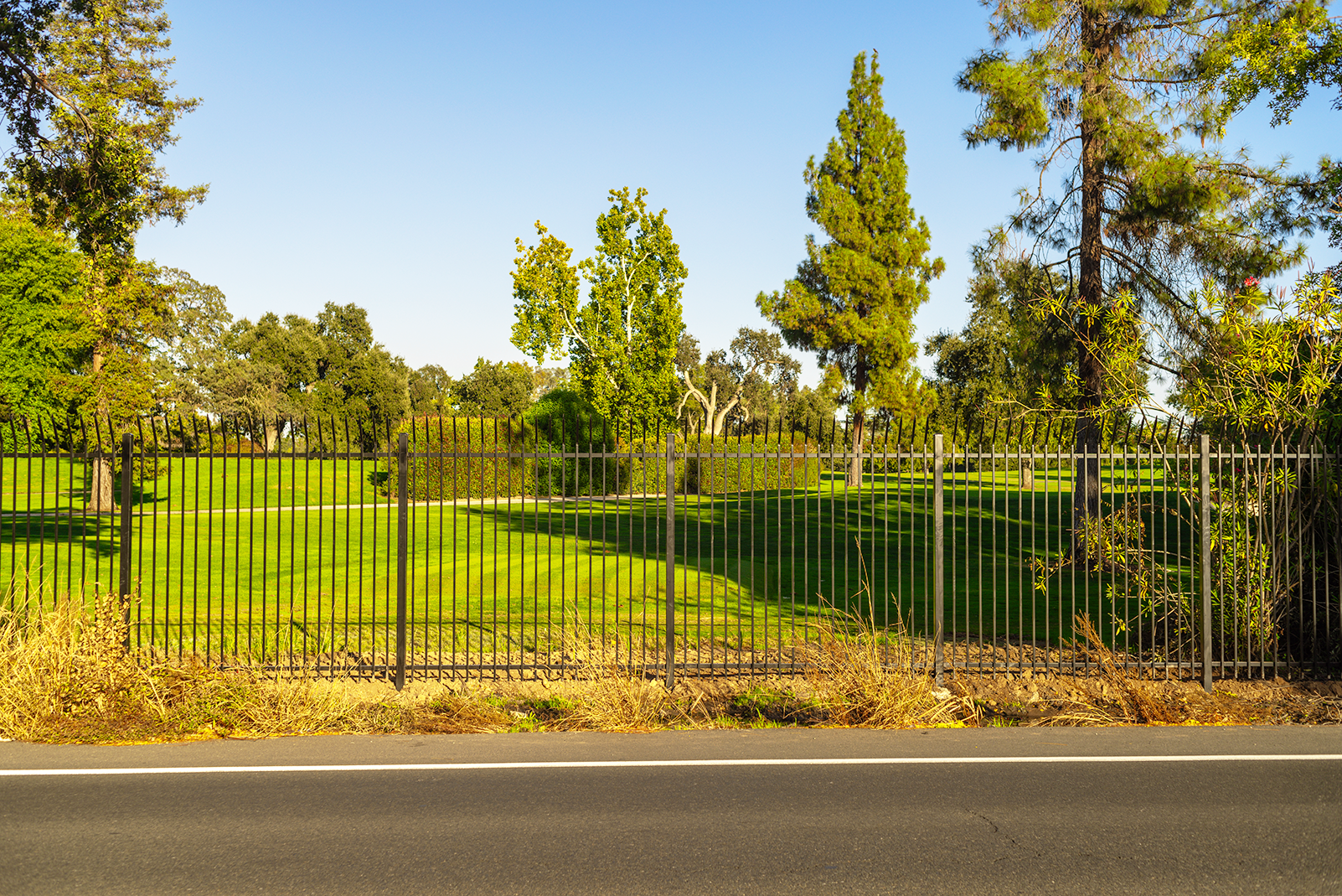 An ornamental and durable metal fence protects a beautiful property